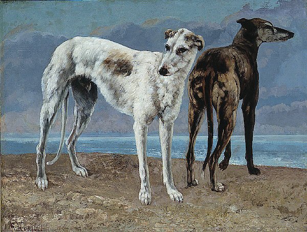 Comte de Choiseulin vinttikoirat tekijältä Gustave Courbet