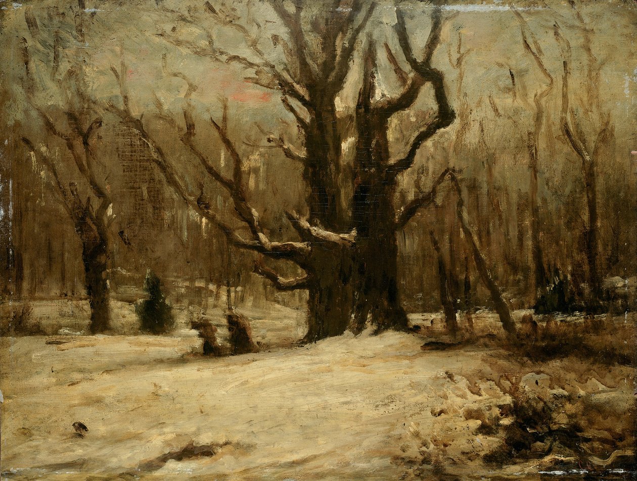 Winterlandschap tekijältä Gustave Courbet
