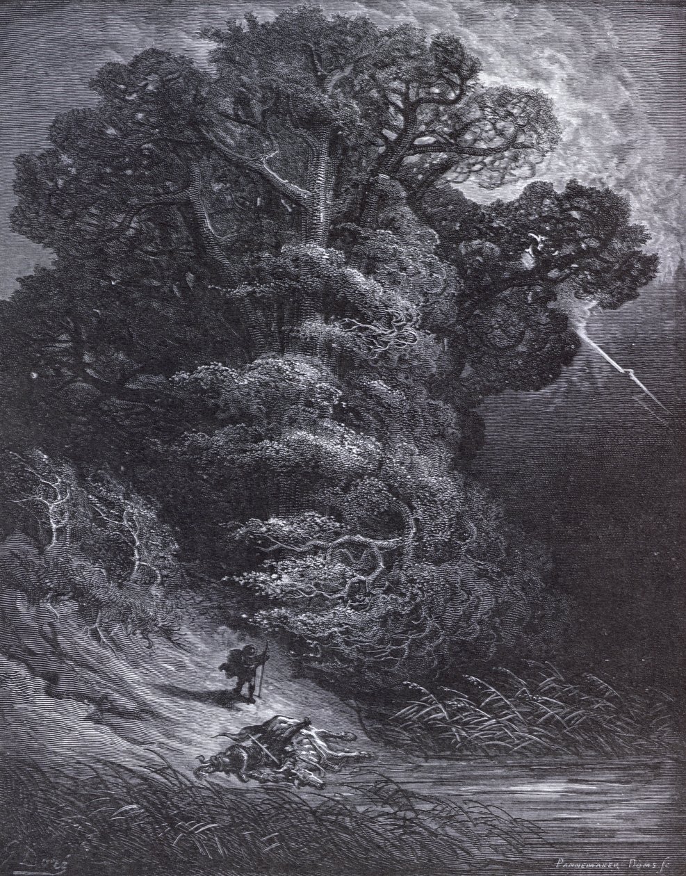 Kuvitus Tammi ja ruoko, Jean de La Fontainen (1621-95) "Fables" -kirjasta tekijältä Gustave Dore