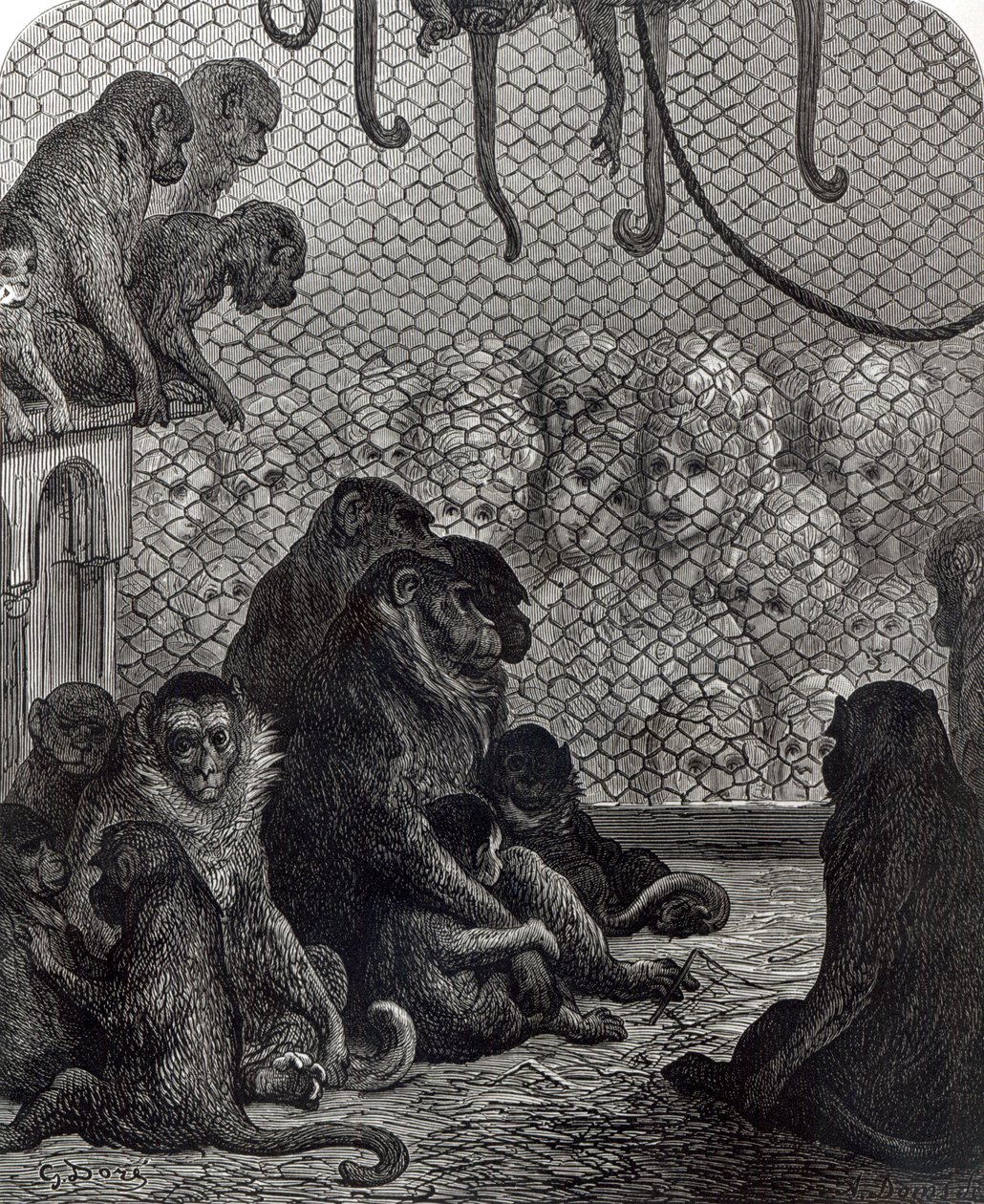 Lontoon apinat tekijältä Gustave Dore