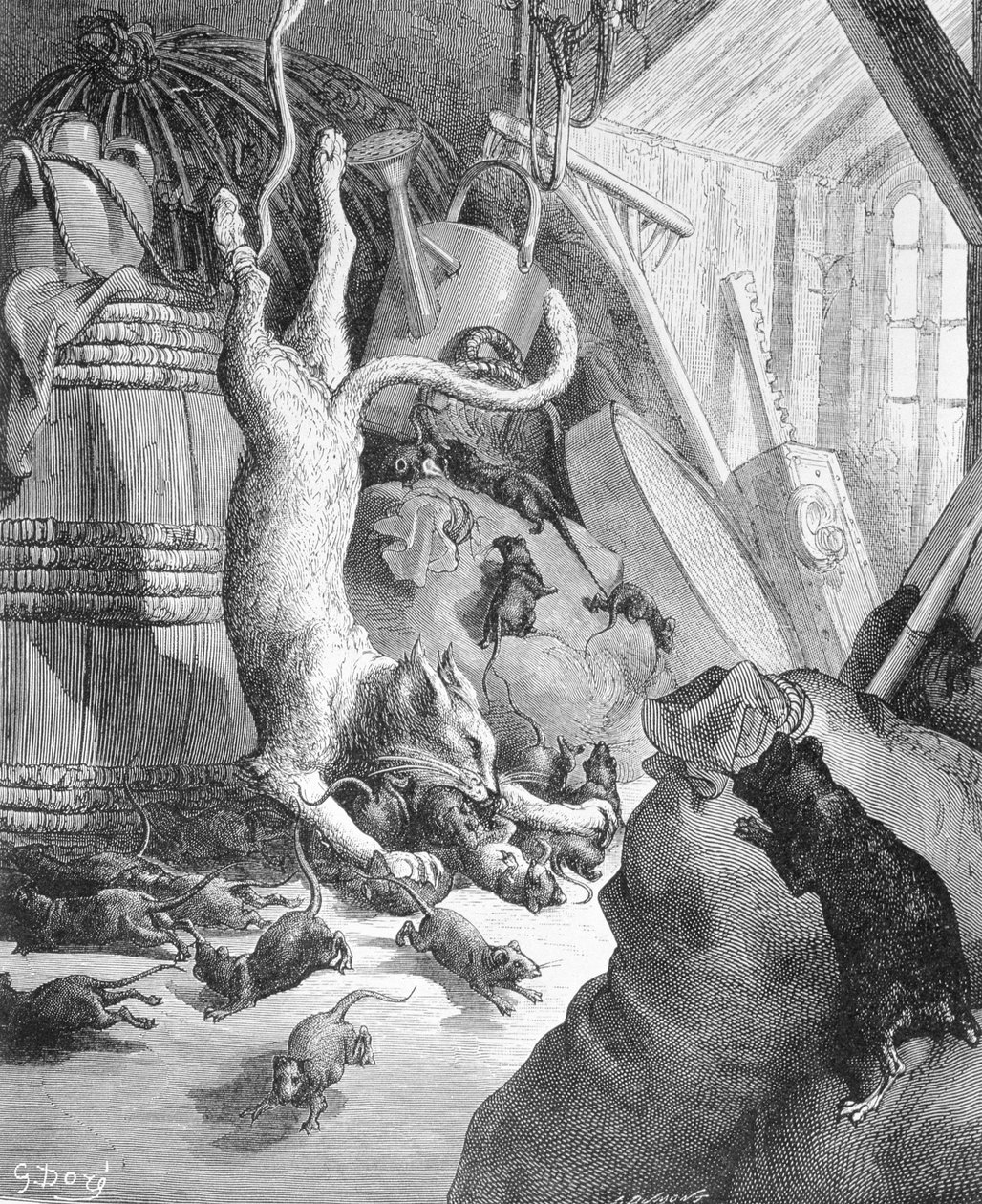 Kissa ja vanha rotta, kuvitus La Fontainen "Fablesista", 1868 tekijältä Gustave Dore