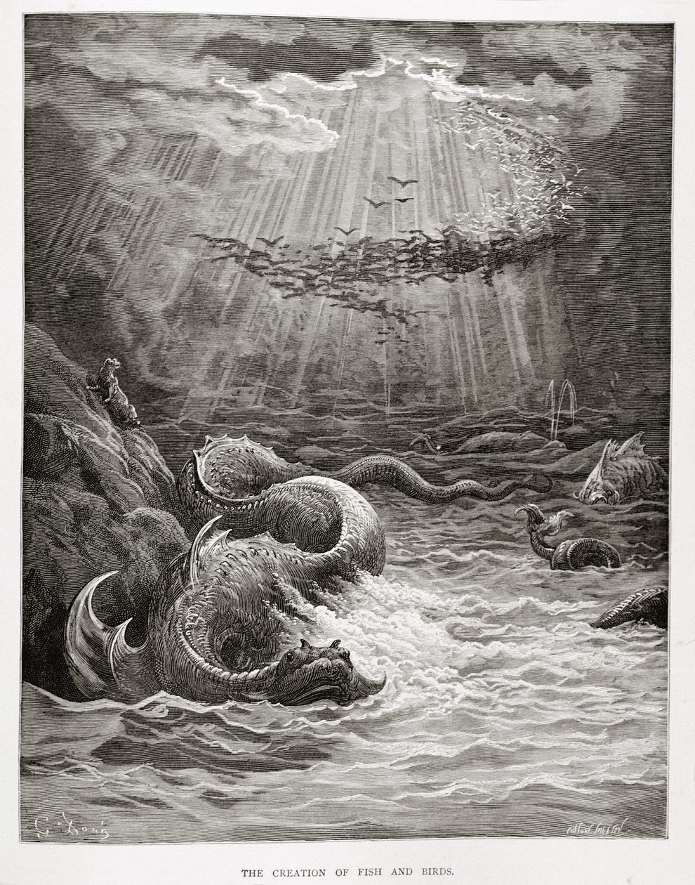 Kalan ja lintujen luominen, John Miltonin (1608-74) Kadotetusta paratiisista, kaiverrettu Collon Smeetonin toimesta, noin 1868. tekijältä Gustave Dore