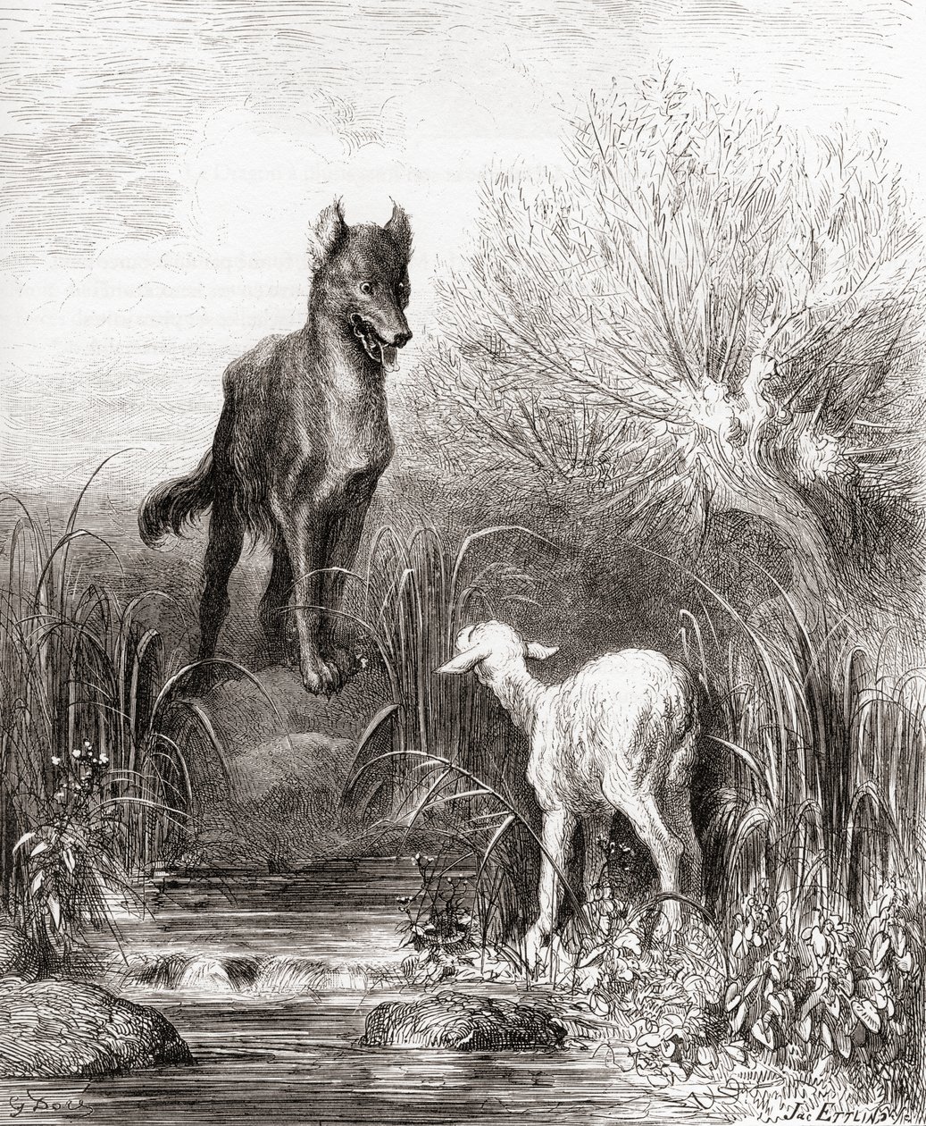 Susi ja lammas, 1800-luvun lopun Fables de La Fontainen painoksesta (puukaiverrus) tekijältä Gustave Dore
