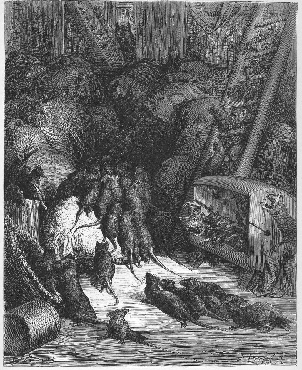 La Ligue des rats - Rottien liiga - Jean de La Fontainen (Lafontaine) (1621-95) "Fablesista" - kaiverrus Gustave Doren (1832-83) mukaan - Yksityinen kokoelma tekijältä Gustave (after) Dore