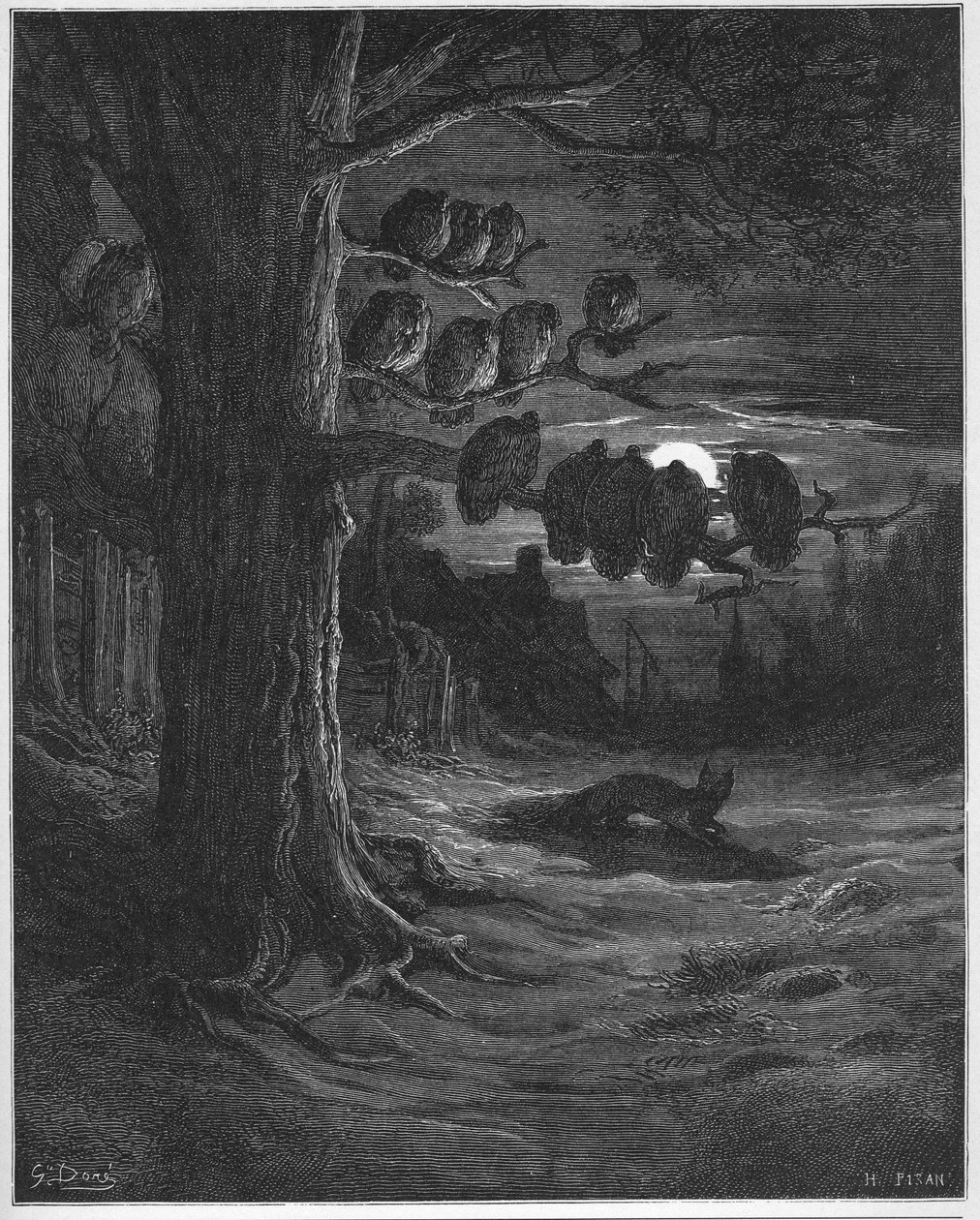 Intian kettu ja kanat - Jean de La Fontainen (Lafontaine) (1621-95) "Fablesista" - kaiverrus Gustave Doren (1832-83) mukaan - Yksityinen kokoelma tekijältä Gustave (after) Dore