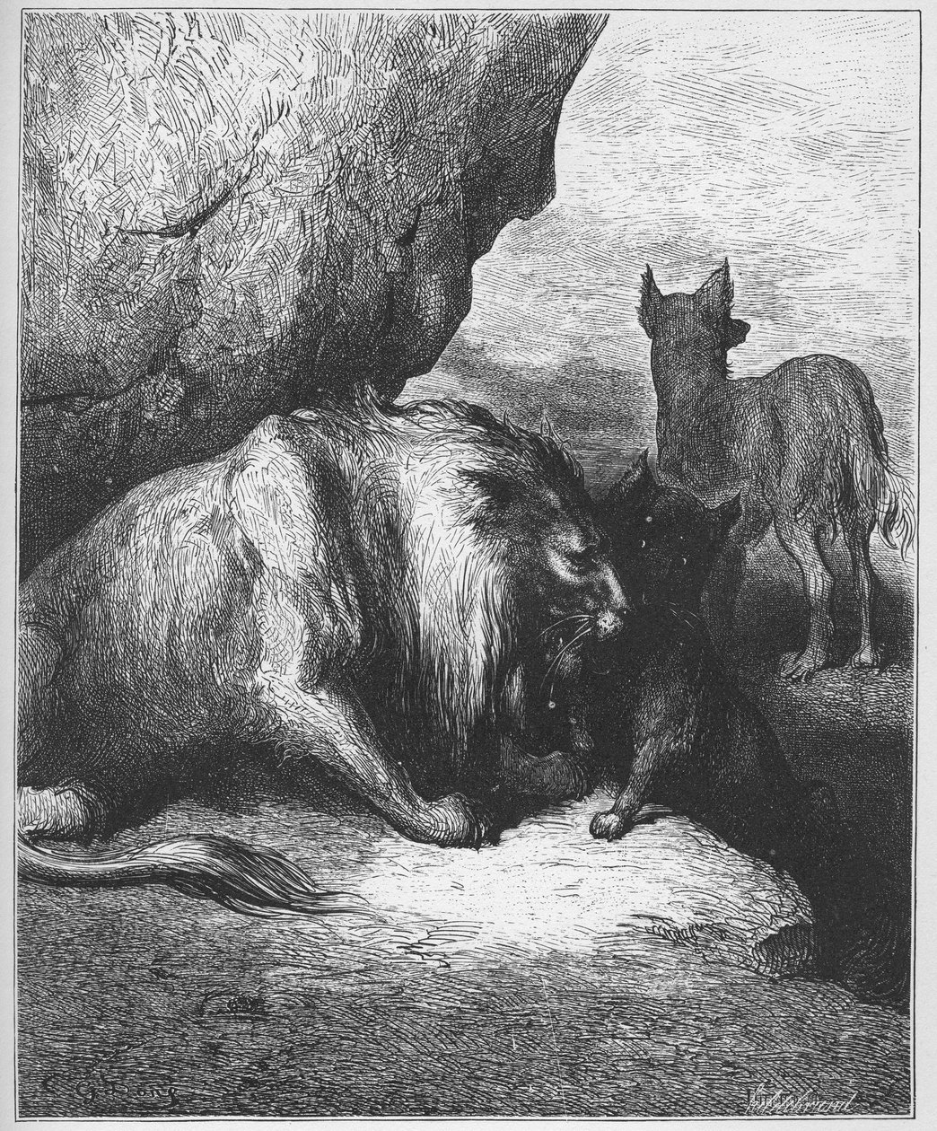 le lion le loup et le fox - leijona, susi ja kettu - Jean de La Fontainen (Lafontaine) (1621-95) "Fablesista" - kaiverrus Gustave Doren (1832-83) mukaan - Yksityinen kokoelma tekijältä Gustave (after) Dore