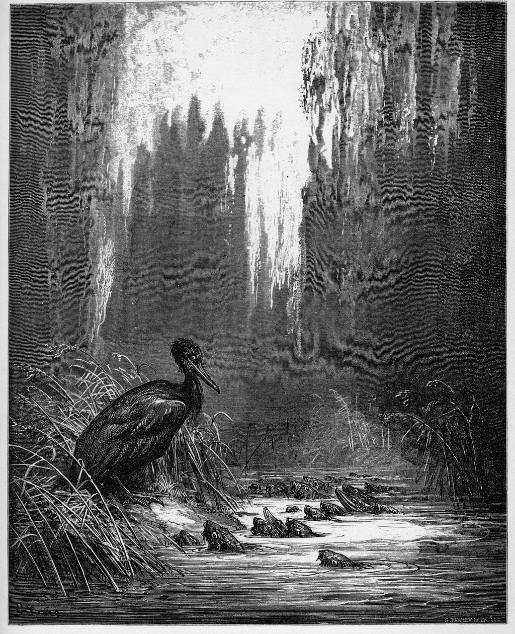 kala ja merimetso - kala ja merimetso - Jean de La Fontainen (Lafontaine) (1621-95) "Fablesista" - kaiverrus Gustave Doren (1832-83) mukaan - Yksityinen kokoelma tekijältä Gustave (after) Dore