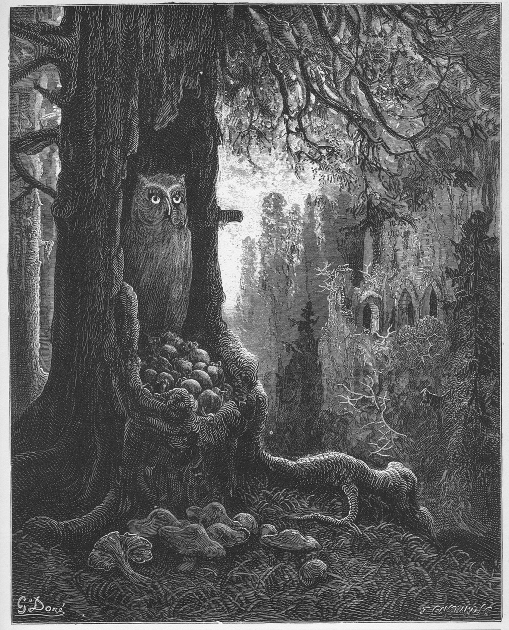 Hiiret ja pöllö - Jean de La Fontainen (Lafontaine) (1621-95) "Fablesista" - kaiverrus Gustave Doren (1832-83) mukaan - Yksityinen kokoelma tekijältä Gustave (after) Dore