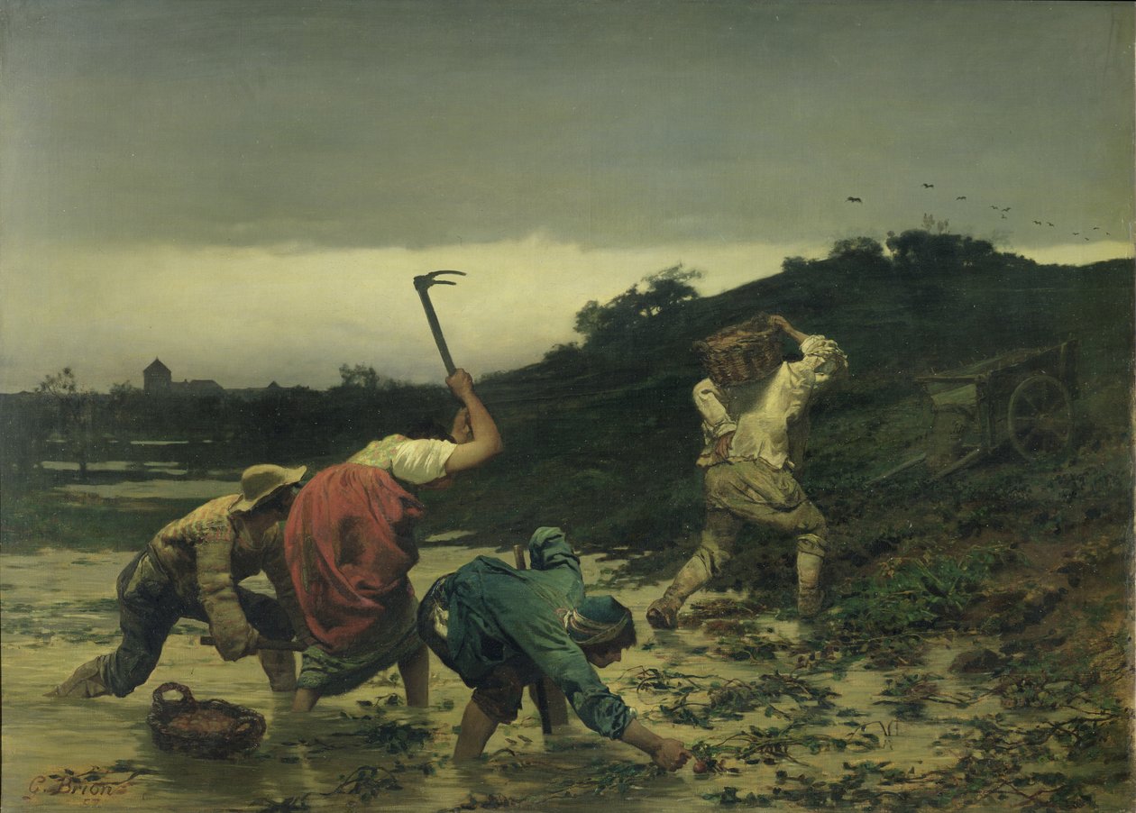 Talonpojat poimivat perunoita Reinin tulvan aikana vuonna 1852 tekijältä Gustave Brion