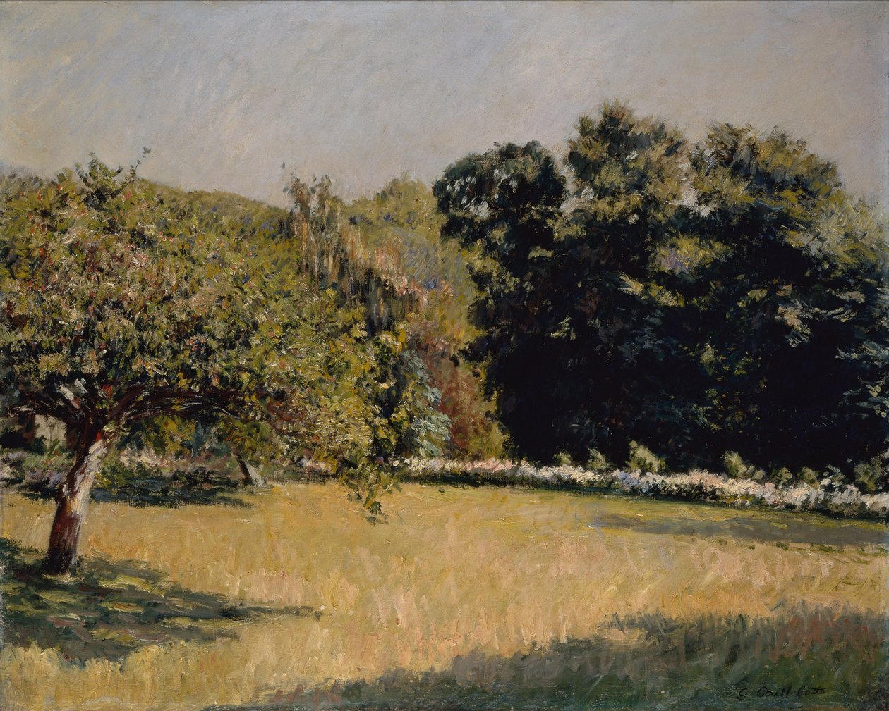 Puutarha Trouvillessa tekijältä Gustave Caillebotte