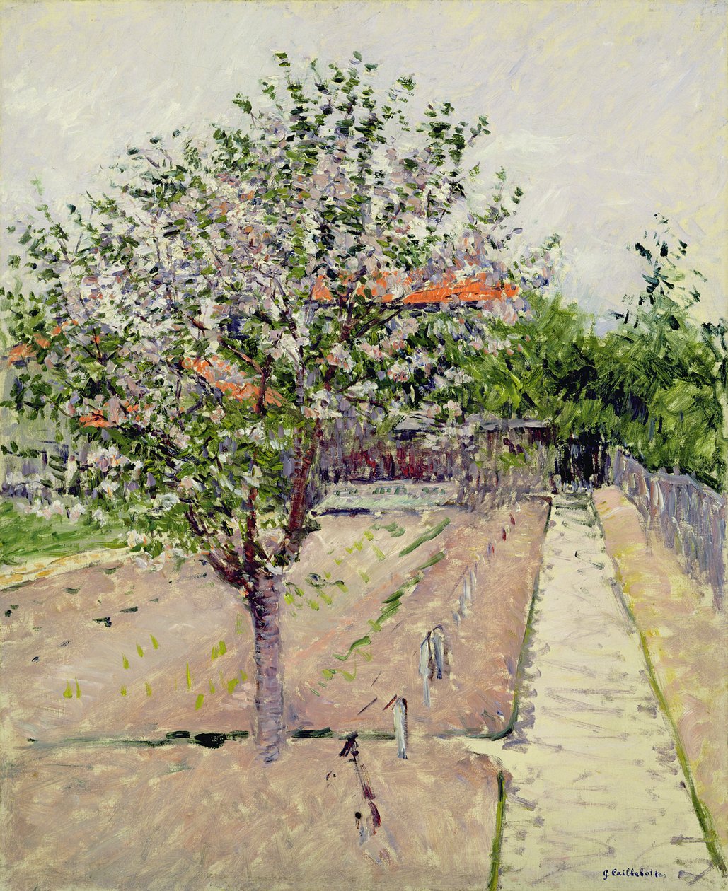 Apple Tree in Blossom, noin 1885 tekijältä Gustave Caillebotte