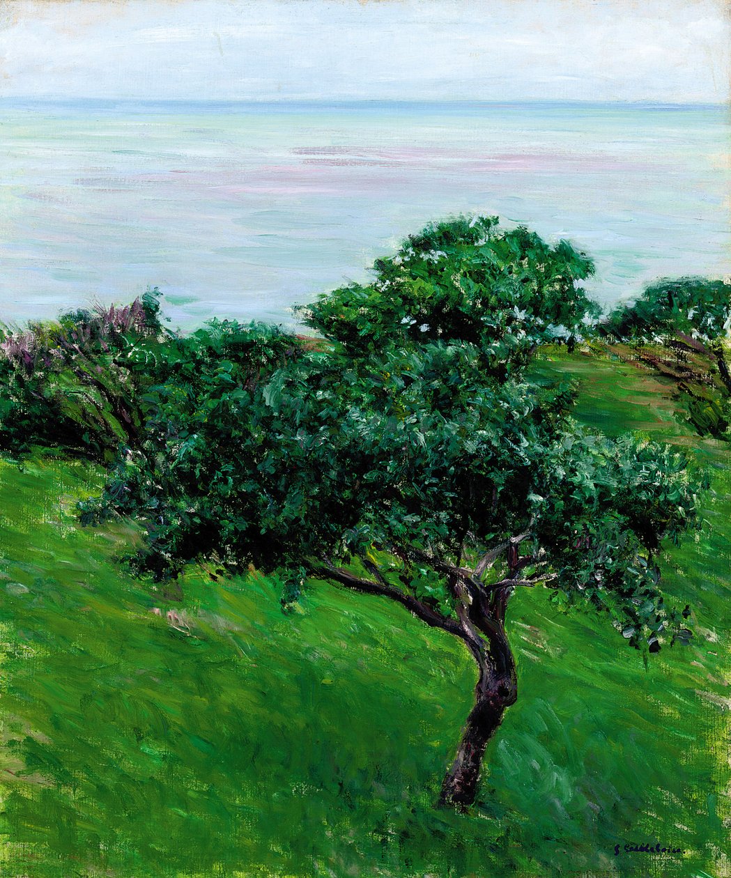 Omenapuut meren rannalla, Trouville, 1880 tekijältä Gustave Caillebotte