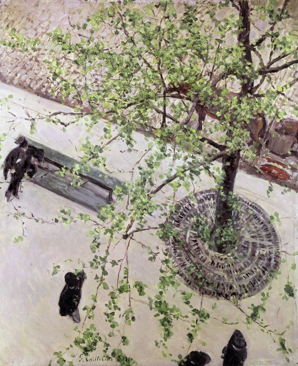Boulevard ylhäältä katsottuna, 1880 tekijältä Gustave Caillebotte