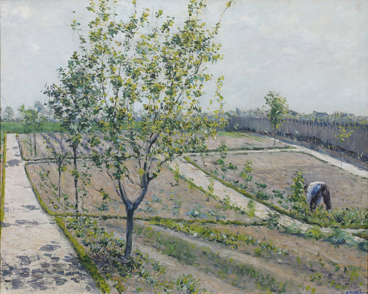 Kitchen Garden, Petit Gennevilliers - Gustave Caillebotte (1848-1894). öljy kankaalle tekijältä Gustave Caillebotte