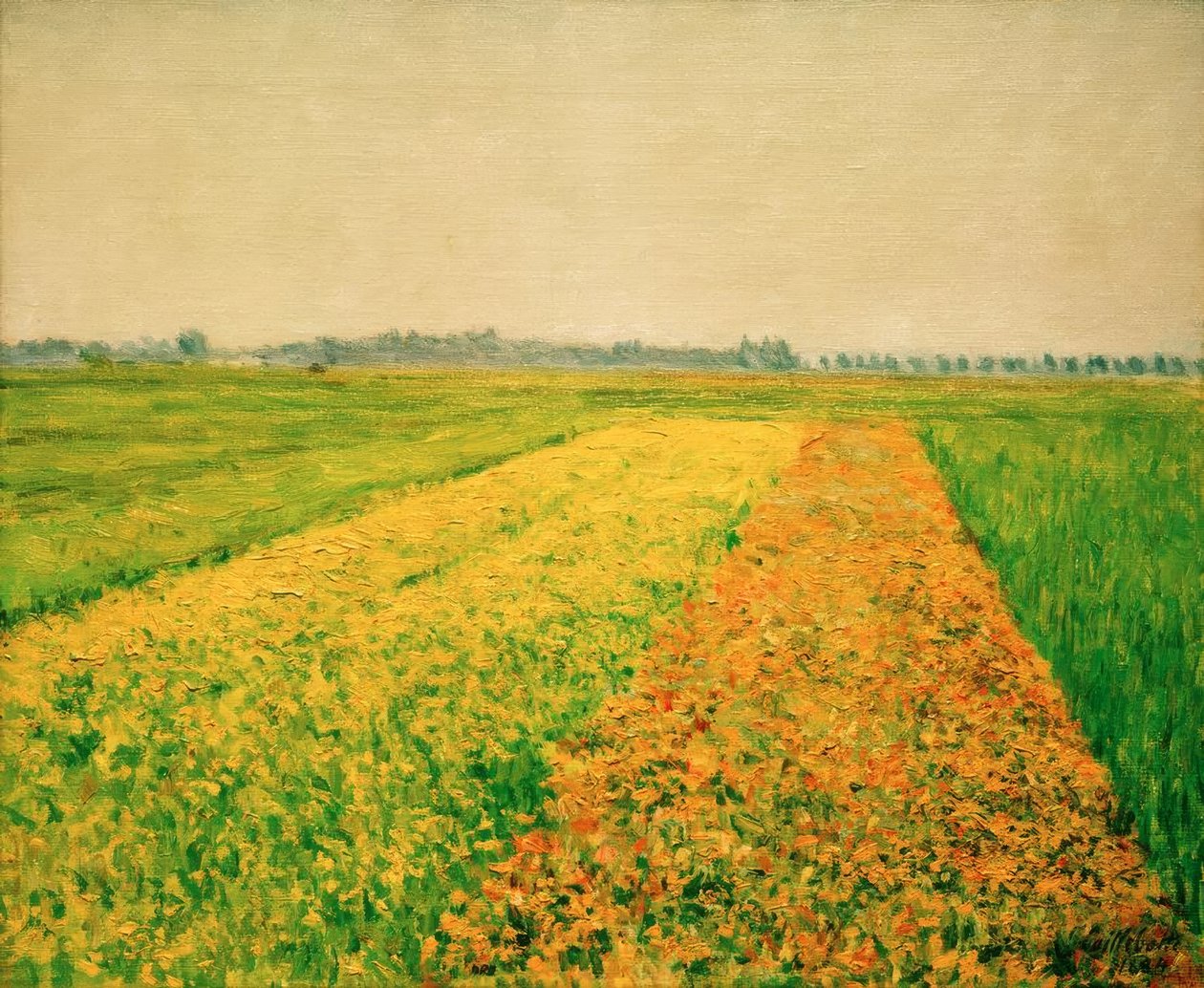 La plaine de Gennevilliers, champs jaunes tekijältä Gustave Caillebotte