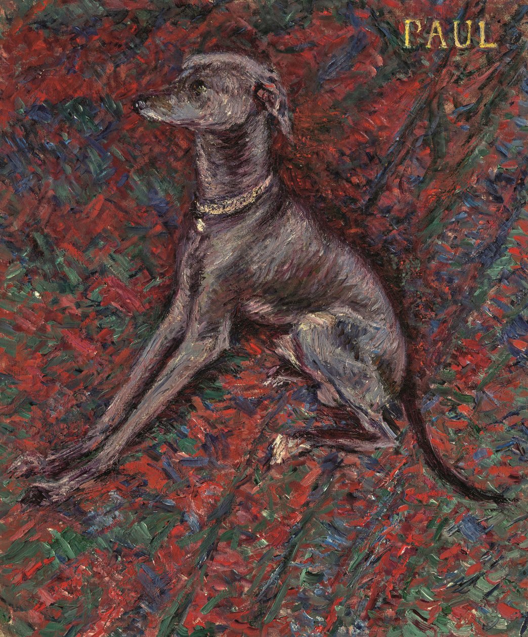 Koira 