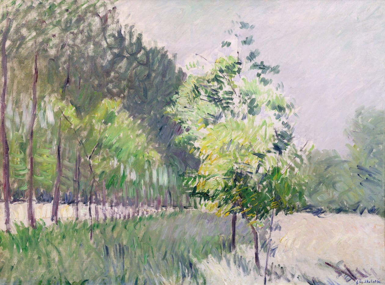 Puutarha ja puiden katu tekijältä Gustave Caillebotte
