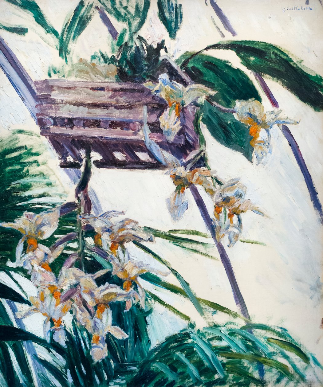 Orkideat, c. 1893 (öljy kankaalle) tekijältä Gustave Caillebotte