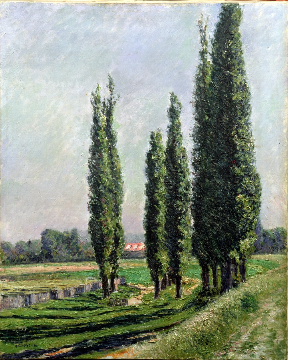 Poppelit joen rannalla Argenteuilissa (öljy kankaalle) tekijältä Gustave Caillebotte