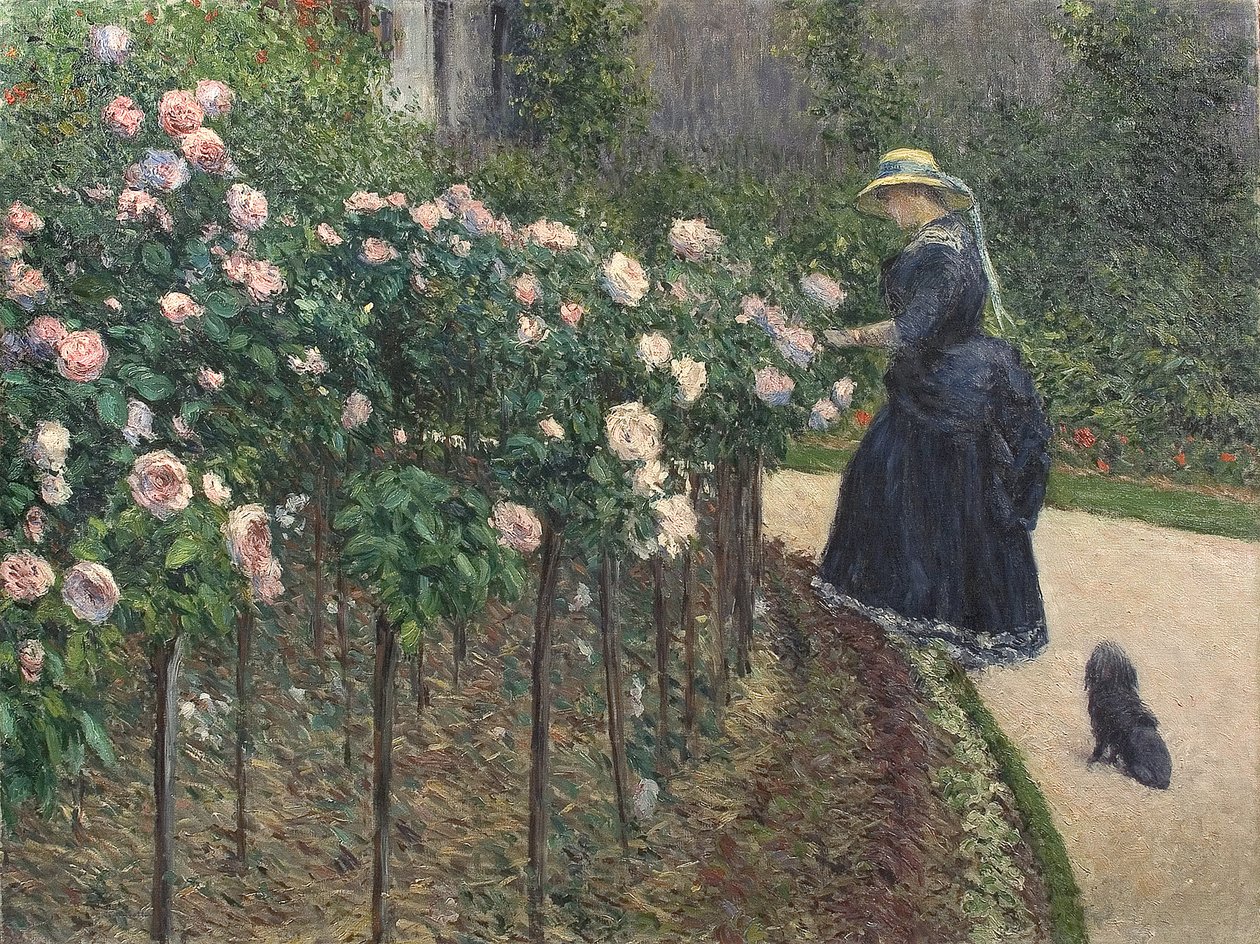 Ruusut, puutarha Petit Gennevilliersissä - Gustave Caillebotte (1848-1894). öljy kankaalle tekijältä Gustave Caillebotte