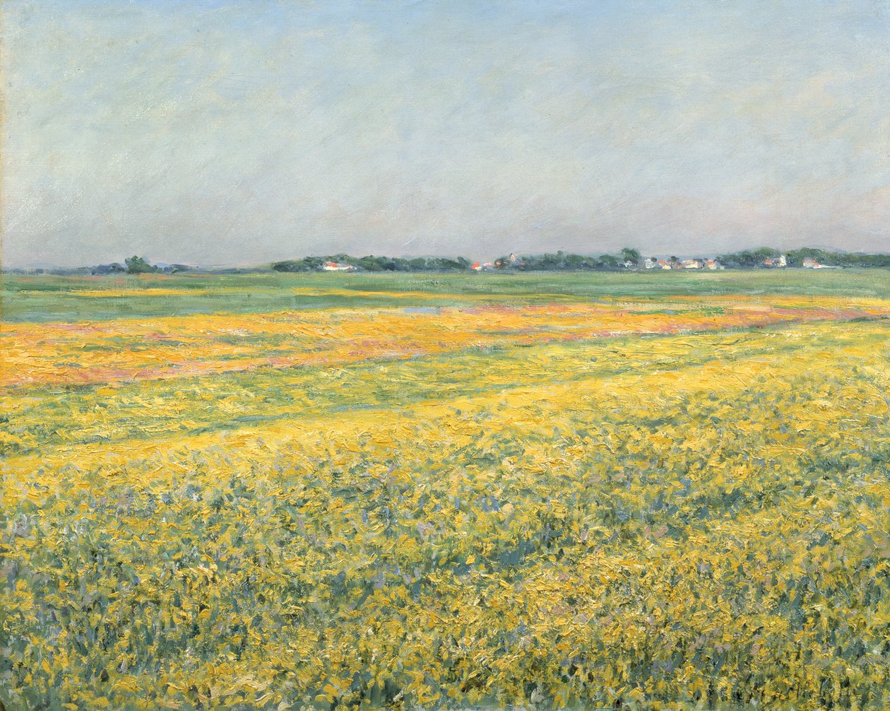 Gennevilliersin tasango, keltaiset kentät; La plaine de Gennevilliers, Champs Jaunes, 1884 tekijältä Gustave Caillebotte