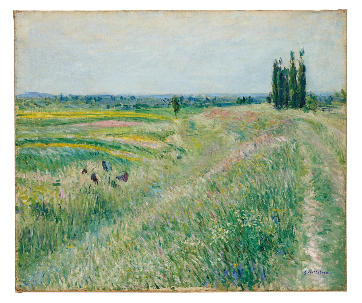 Gennevilliersin tasanko, poppeliryhmä, noin 1883 (öljy kankaalle) tekijältä Gustave Caillebotte