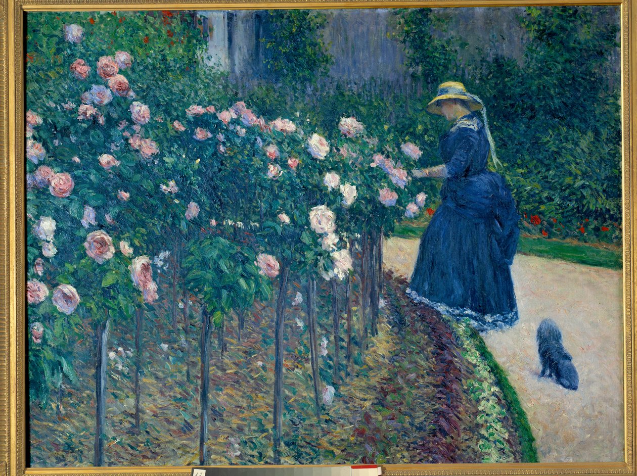 Ruusut. Pienten Gennevillierien puutarha. Gustave Caillebotten (1848-1894) maalaus tekijältä Gustave Caillebotte