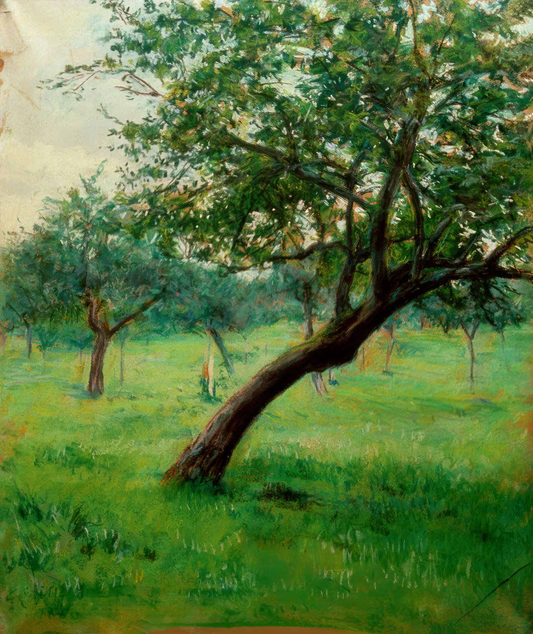 Verger, joka tunnetaan myös nimellä Verger Normandiassa tekijältä Gustave Caillebotte