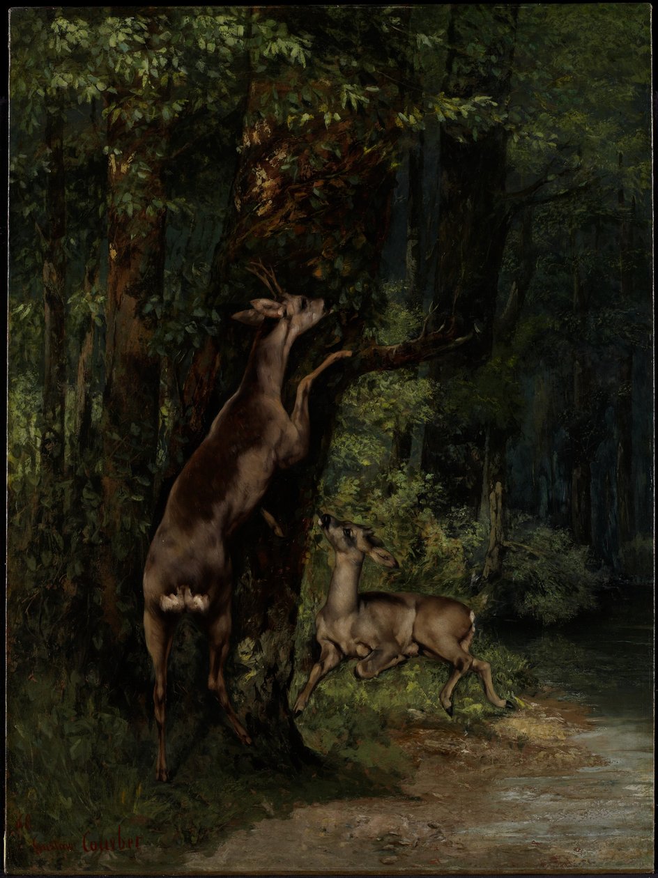 Hirvi metsässä tekijältä Gustave Courbet