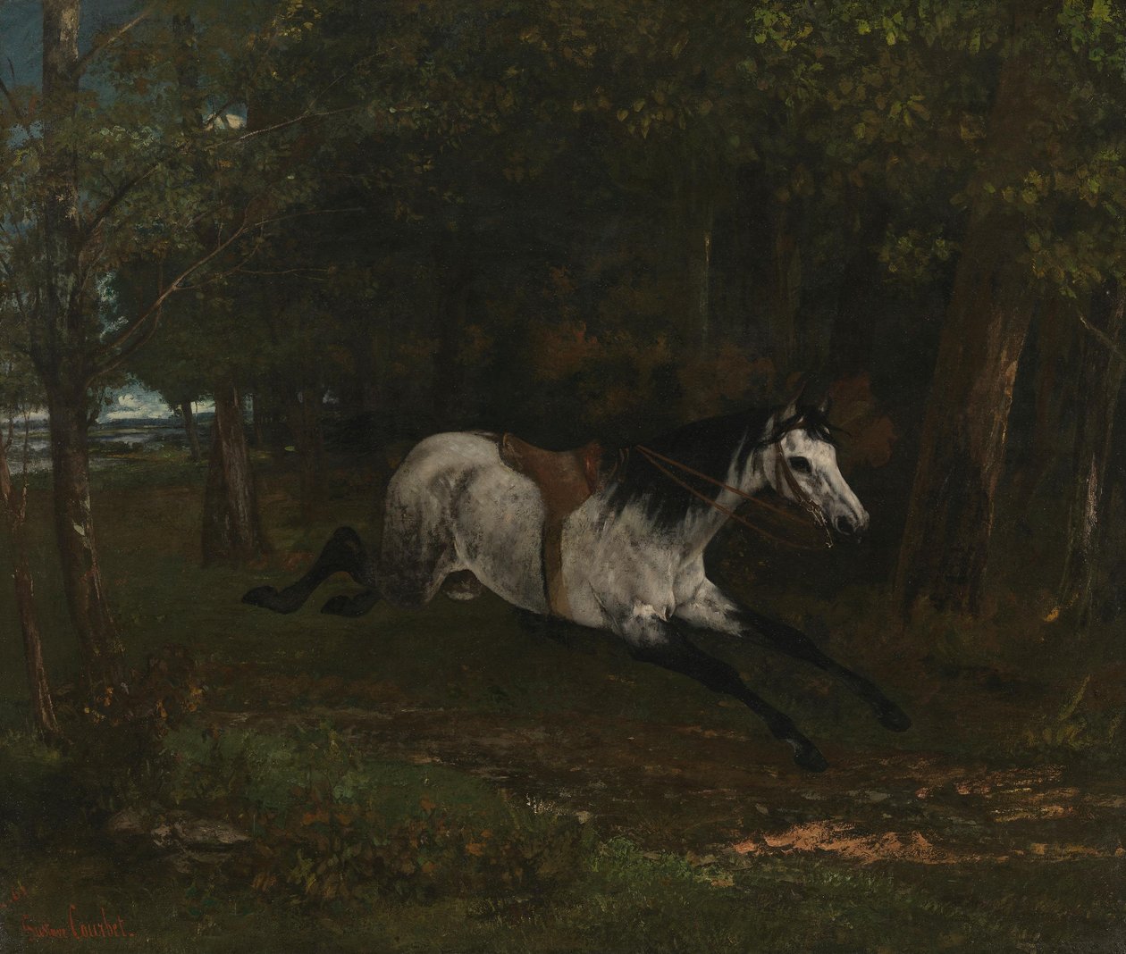Läpimenevä hevonen tekijältä Gustave Courbet