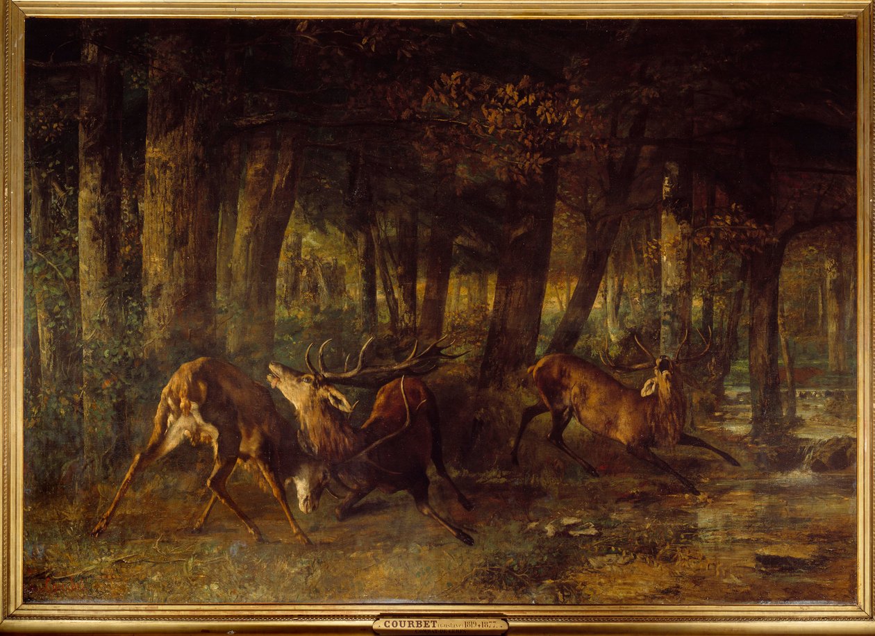 Kevät ura, peurataistelu. Gustave Courbetin (1819-1877) maalaus tekijältä Gustave Courbet