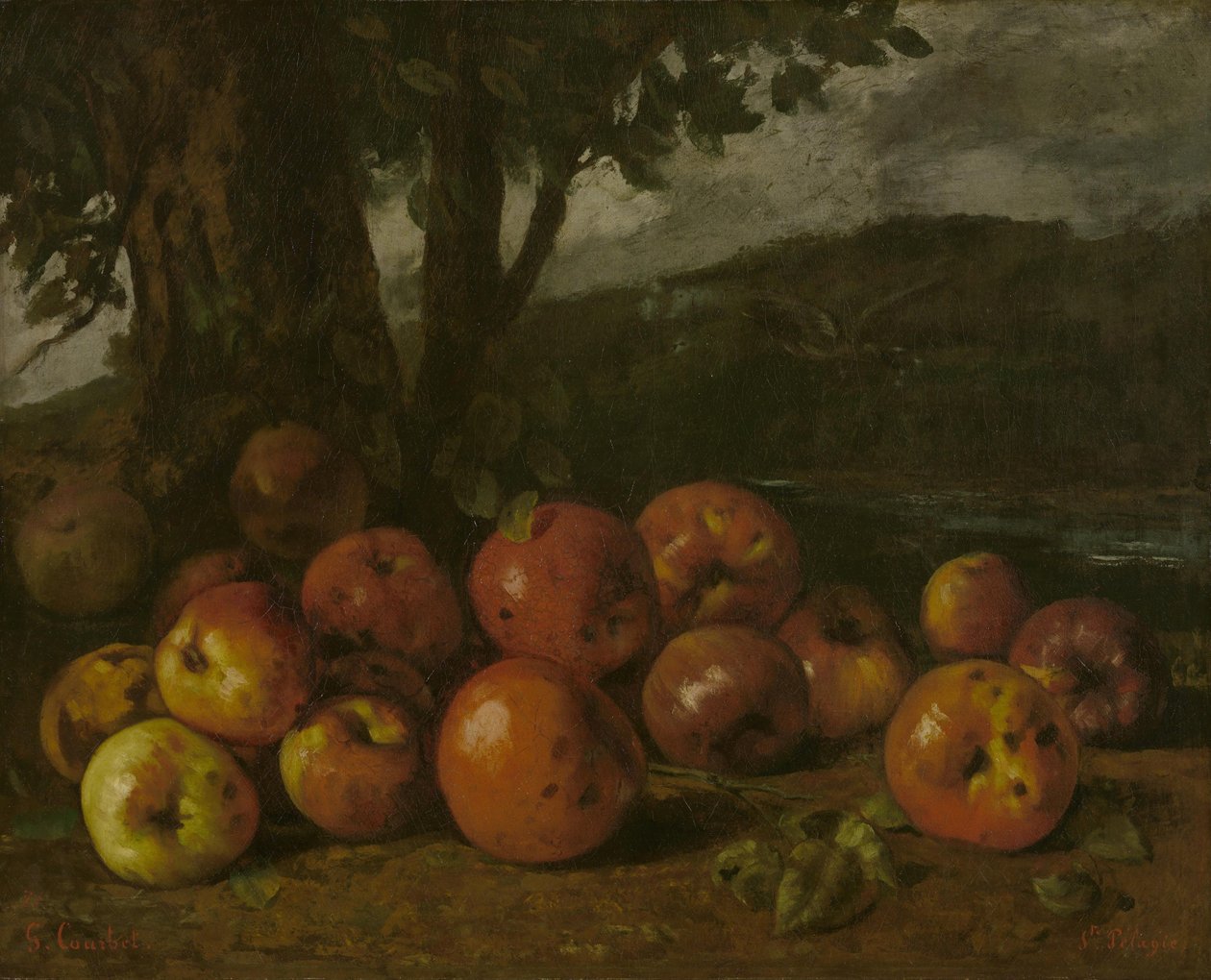 Asetelma omenoiden kanssa tekijältä Gustave Courbet