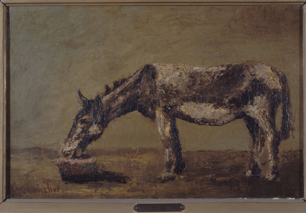 Aasi, vuosina 1862-1863 (öljy kankaalle) tekijältä Gustave Courbet