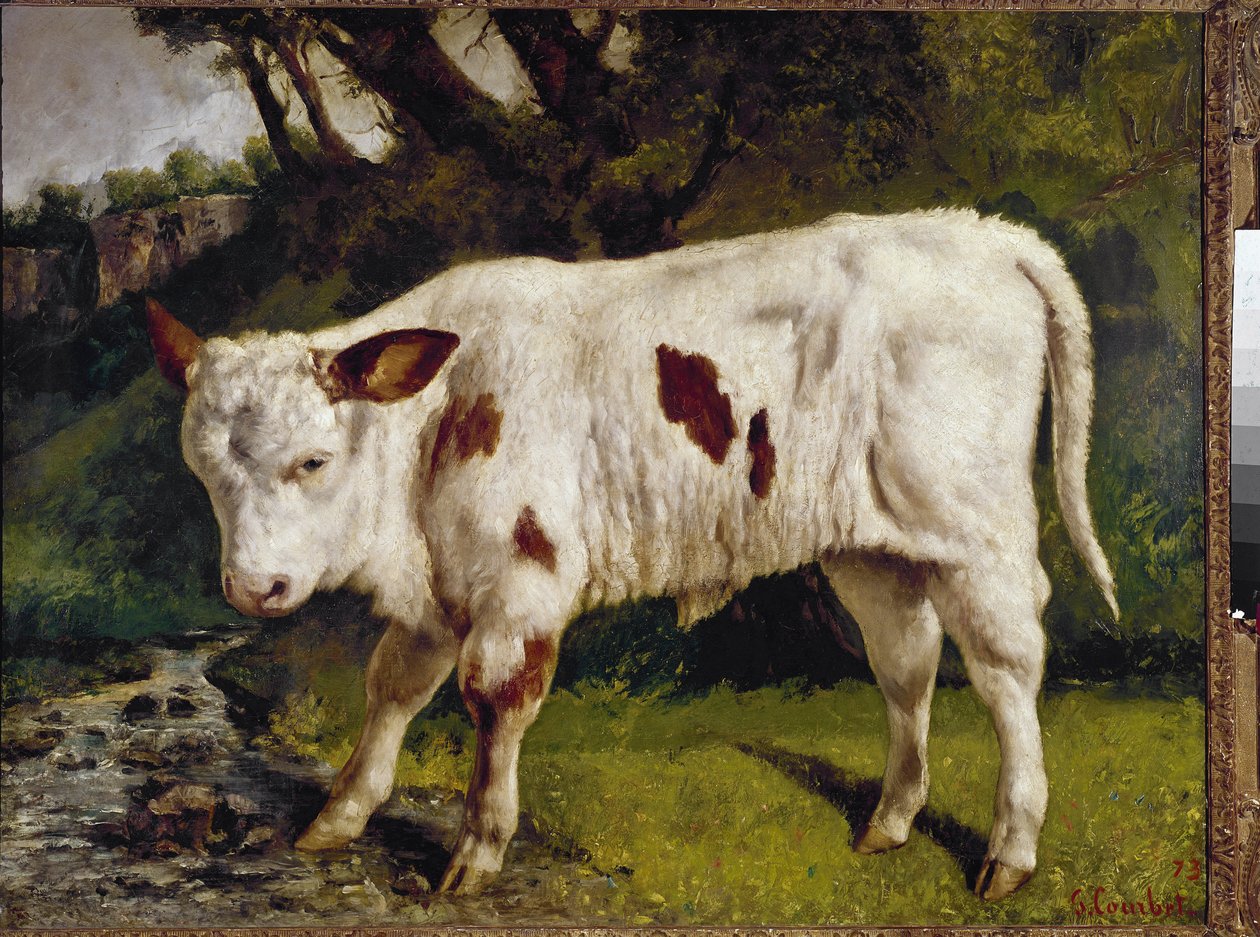 Vasikka tekijältä Gustave Courbet