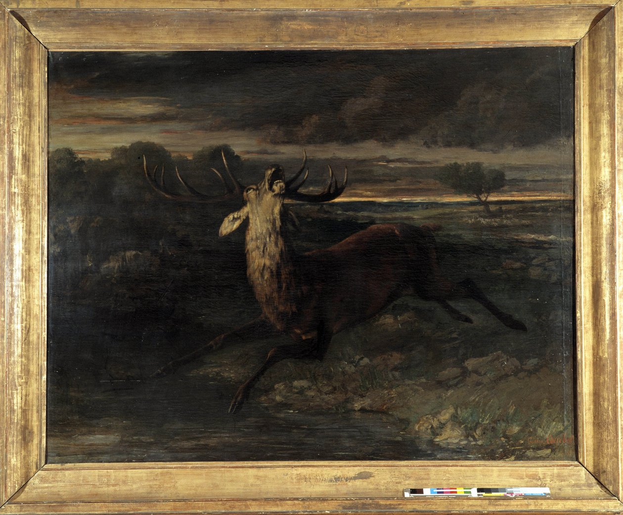Hirvellä on vettä (metsästää juoksua) sanoo hirvenvoima (öljy kankaalle) tekijältä Gustave Courbet