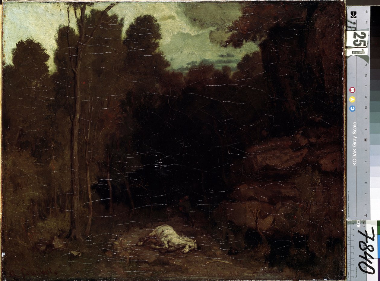 Tuntematon kuva tekijältä Gustave Courbet