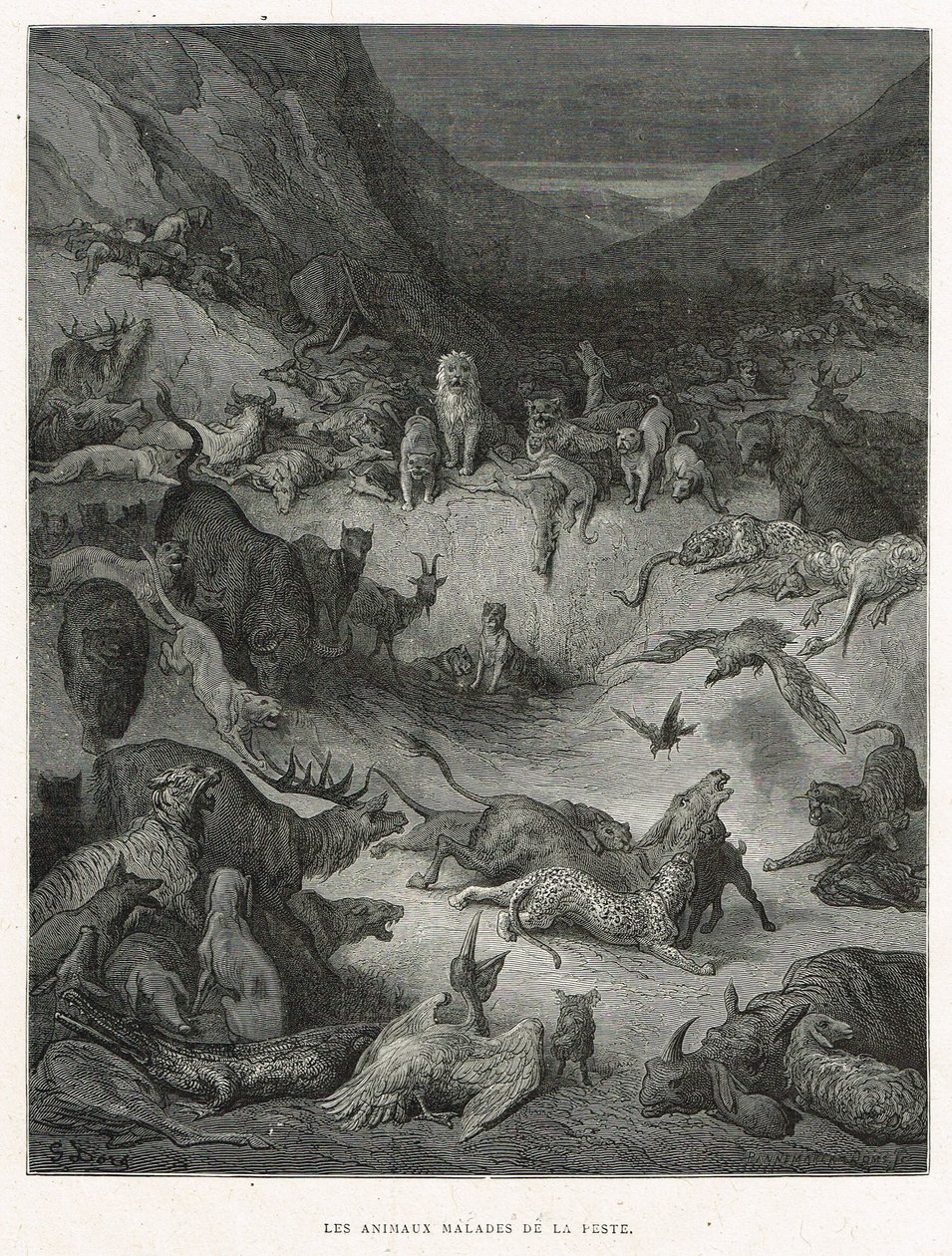 Ruttoon sairastuneet eläimet tekijältä Gustave Dore