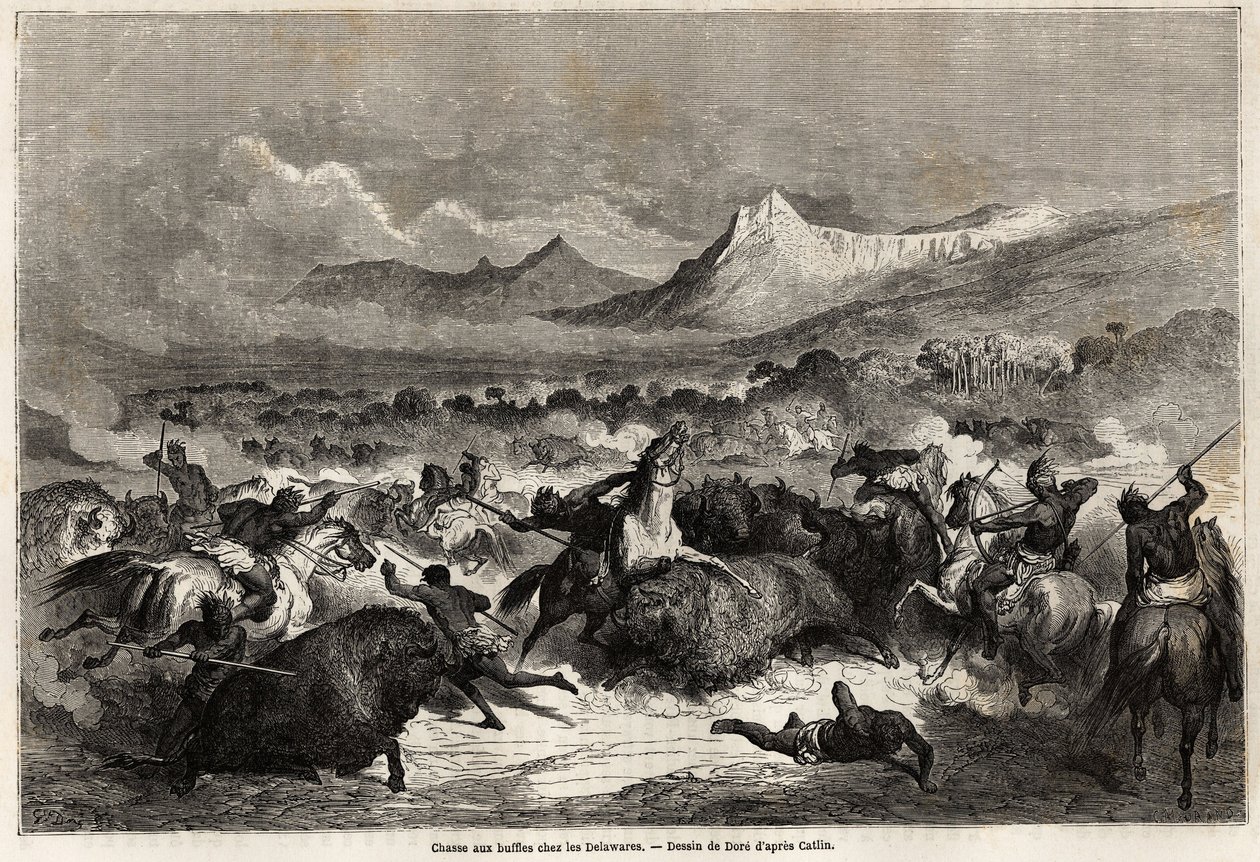 Buffalometsästys delawaren joukossa, samannimisen joen varrella asuvat amerikkalaiset, Gustave Doren (1832-1883) piirros havainnollistamaan Baudouin Mollhausenin (1825-) matkaa Mississippillä Tyynellemerelle vuosina 1853-54. 1905). Kaiverrus tekijältä Gustave Dore