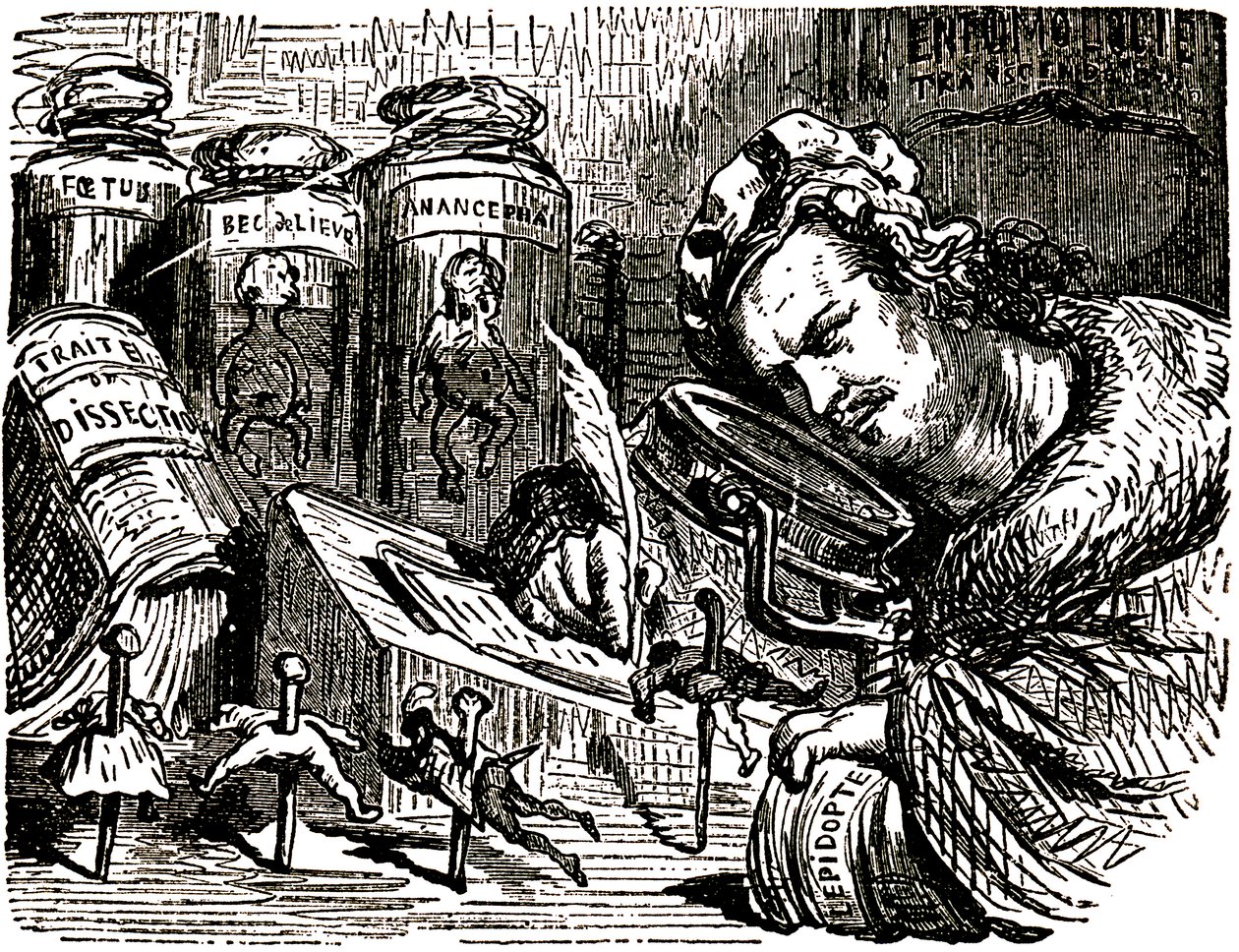 Honore de Balzacin (1799-1850) pilapiirros, jonka Gustave Dore (1832-1883) on piirtänyt Tales Drolatiques -teosta (1855) varten: kirjailija on kuvattu enthomologina, joka tutkii ihmisiä kuin hyönteisiä kaapissaan, joka on täynnä enthomologisia ja dissekoit tekijältä Gustave Dore