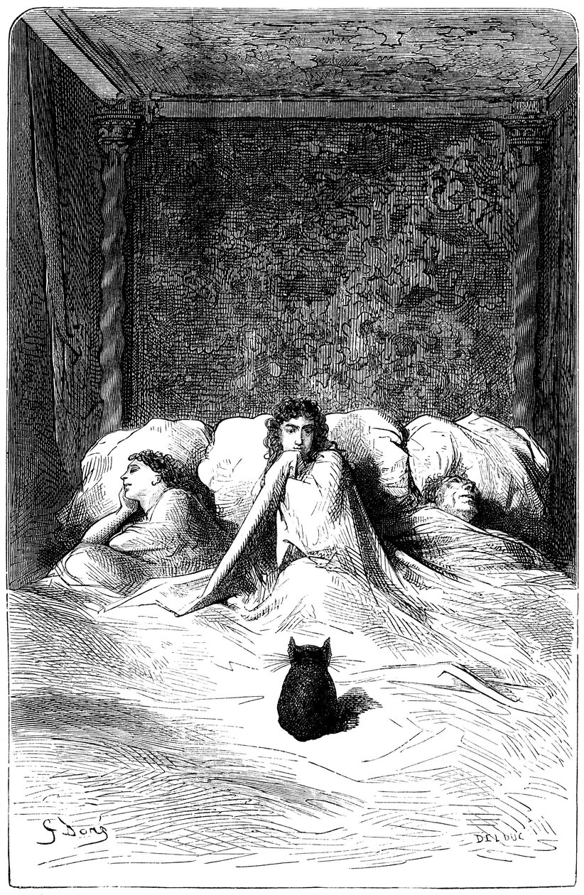 Gustave Doren kaiverrus, joka kuvittaa Theophile Gautierin romaania "Kapteeni Fracasse". Charpentier Edition 1863. Paroni de Sigognacin residenssissä, "Chateau de la Misere"-linnassa, joukko koomikoita löysi turvapaikan. Kolme näyttelijätärtä nukahti louna tekijältä Gustave Dore