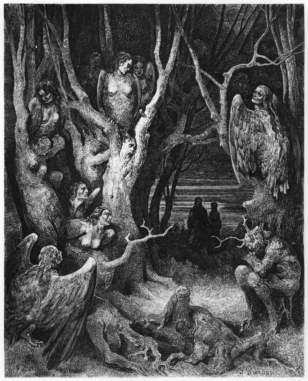 Harpies, kuvitus Dante Alighierin (1265-1321) Pariisin jumalallisesta komediasta (Inferno), julkaistu 1885 tekijältä Gustave Dore
