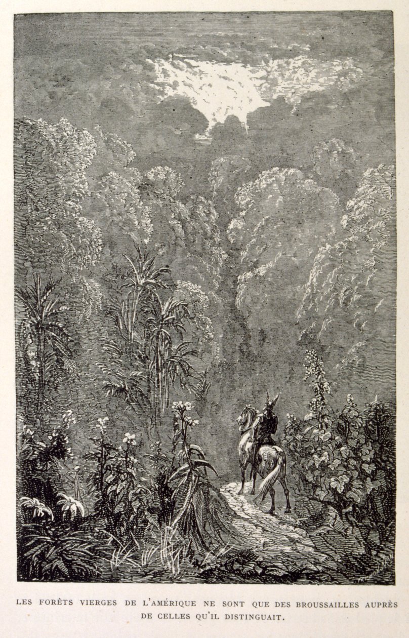 Kuva amerikkalaisesta metsästä. lähteestä La legende de Croque-Mitaine. tekijältä Gustave Dore