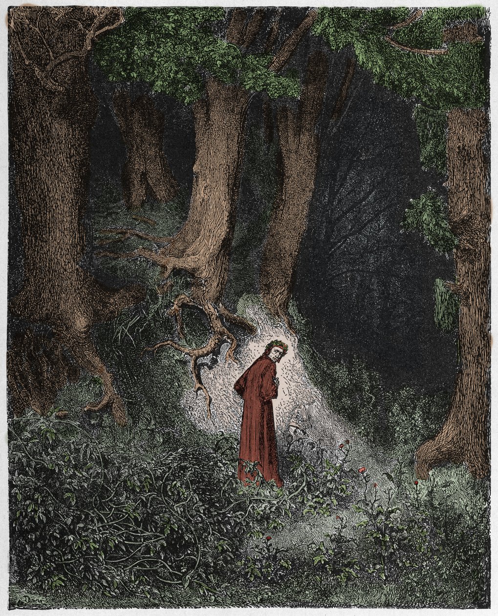 Inferno, Canto 1: Dante villissä metsässä, kuvitus Dante Alighierin jumalallisesta komediasta, 1885 tekijältä Gustave Dore