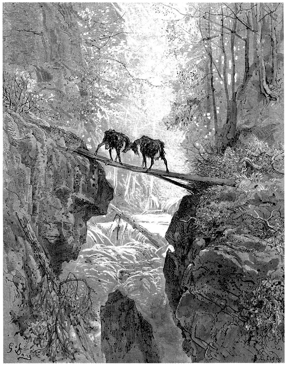 Les deux chevres: Jean de la Fontainen satu, jonka on kuvittanut Gustave Dore - metsä, puro, puro - tekijältä Gustave Dore