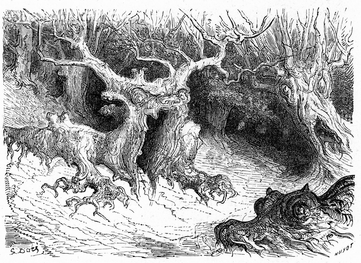 Hirviöpyökki Ossaun laaksossa, antropomorfiset hirviöpuut. Gustave Doren kaiverrus, joka kuvittaa kirjaa "Voyage aux Pyrenees d