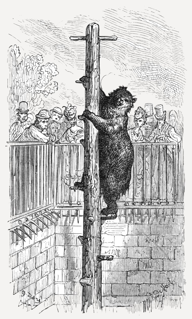 "The Bear Pit - Zoological Gardens", 1872. tekijältä Gustave Dore