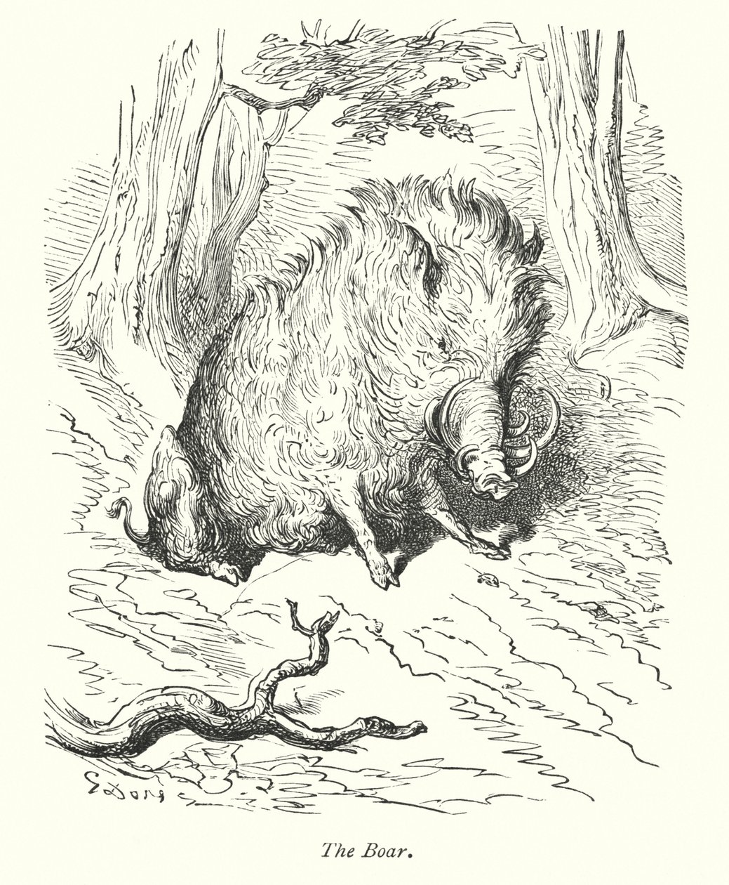 Villisika (kaiverrus) tekijältä Gustave Dore
