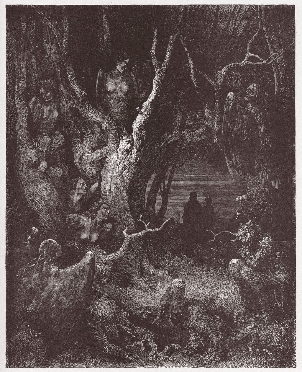 Jumalallinen komedia (La Divina Commedia, La Divine Comedie), Inferno, Canto 13: Harpiet itsemurhien metsässä - Dante Alighieri (1265-1321) - Kuvitus Gustave Dore (1832-1883) tekijältä Gustave Dore