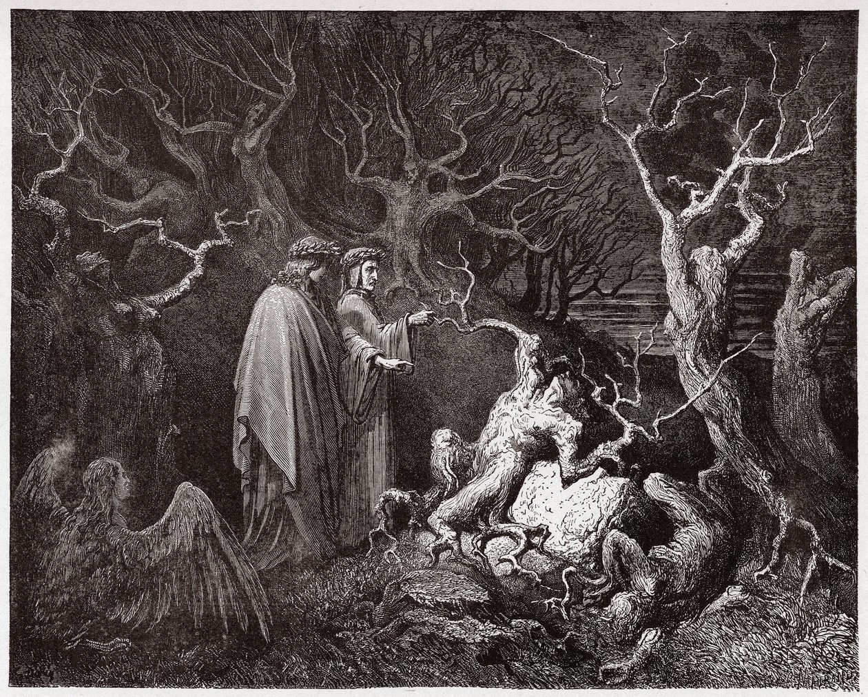Jumalallinen komedia (La Divina Commedia, La Divine Comedie), Inferno, Canto 13: Itsemurhat metsässä - Dante Alighieri (1265-1321) - Kuvitus Gustave Dore (1832-1883) tekijältä Gustave Dore