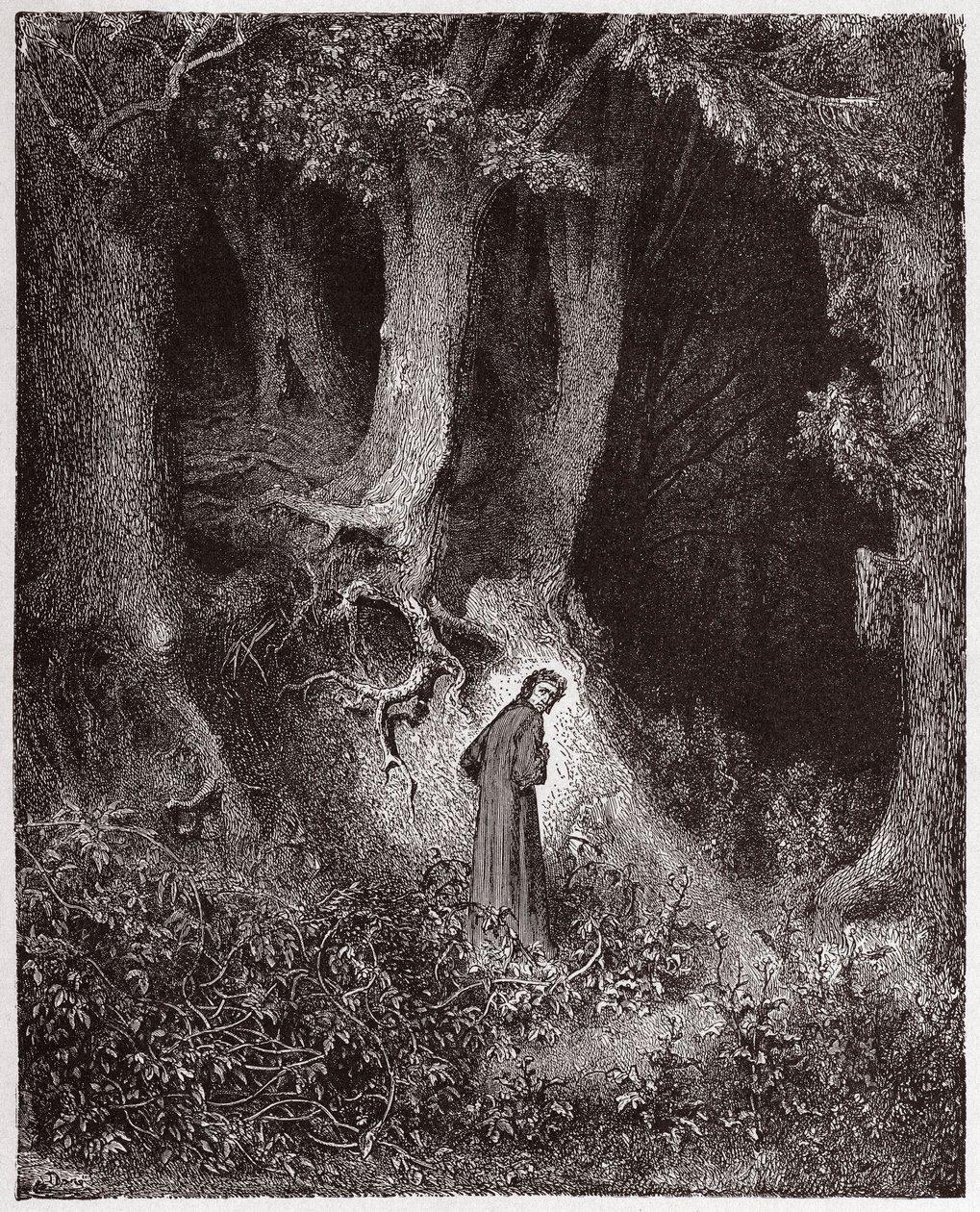 Jumalallinen komedia (La Divina Commedia, La Divine Comedie), Inferno, Canto 1: Dante metsässä - Dante Alighieri (1265-1321) - Kuvitus Gustave Doresta (1832-1883) tekijältä Gustave Dore